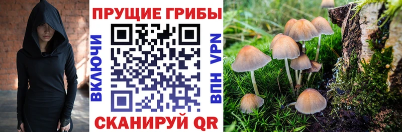 Псилоцибиновые грибы мухоморы  Стрежевой 